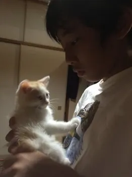 山田雅美 様のお迎えした子猫