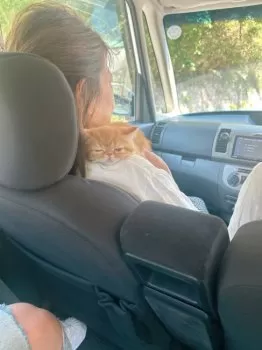 M.Y 様のお迎えした子猫