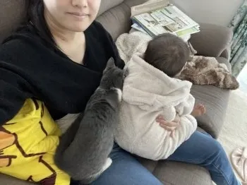 K.N 様のお迎えした子猫