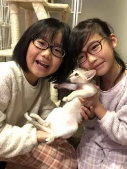 マツイ 様のお迎えした子猫