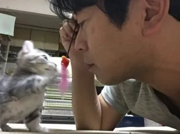 katuどん 様のお迎えした子猫