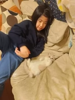 はる 様のお迎えした子猫