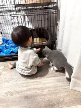 R.H 様のお迎えした子猫