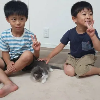 T.M 様のお迎えした子猫