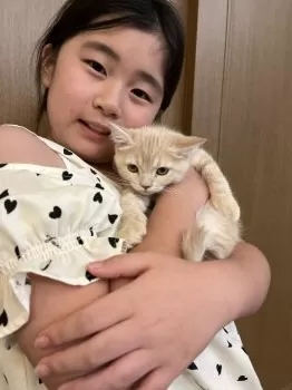 チャンエリ 様のお迎えした子猫