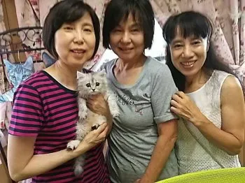前田　えり子 様のお迎えした子猫