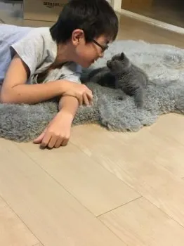 ロビン 様のお迎えした子猫