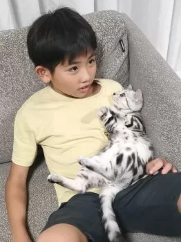 Y.N 様のお迎えした子猫
