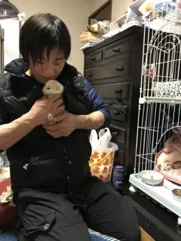 よっちゃん 様のお迎えした子猫