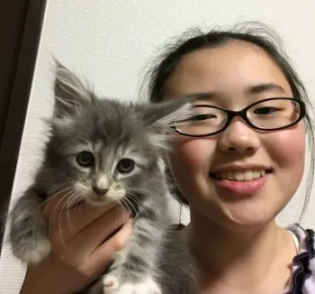 ビビ 様のお迎えした子猫