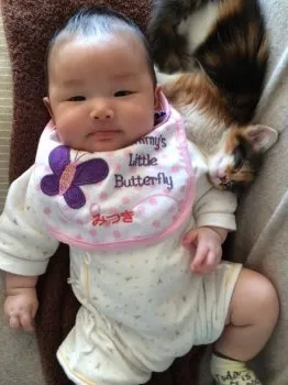 さっしー 様のお迎えした子猫