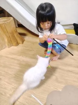 K.F 様のお迎えした子猫