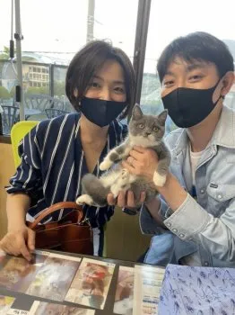 Oniちゃん 様のお迎えした子猫