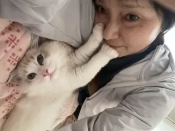 ohisama 様のお迎えした子猫