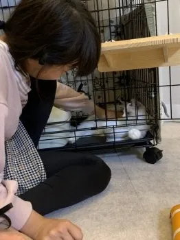 フレ 様のお迎えした子猫