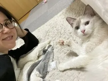 haru 様のお迎えした子猫
