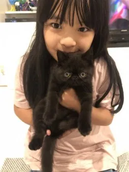 T.K 様のお迎えした子猫