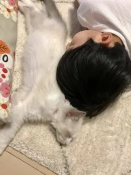 M.U 様のお迎えした子猫