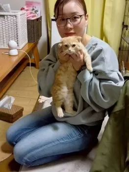 みーこ 様のお迎えした子猫