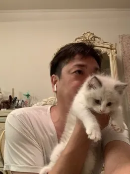 y.s 様のお迎えした子猫
