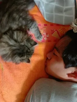 まりあ 様のお迎えした子猫
