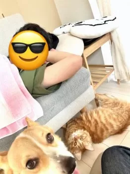 S.S 様のお迎えした子猫