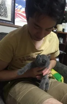 ばっとん 様のお迎えした子猫