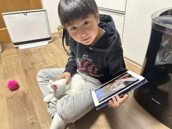 angel kitty 様のお迎えした子猫