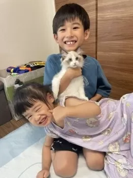 Rmama 様のお迎えした子猫