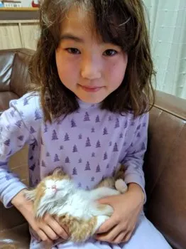 ノエル 様のお迎えした子猫
