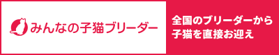 みんなの子猫ブリーダー