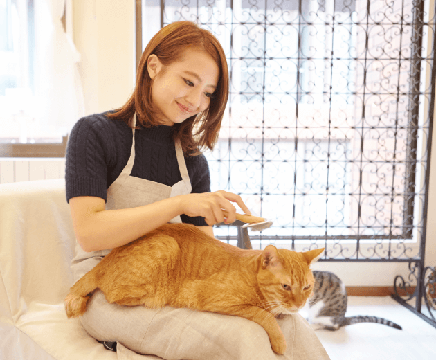 ブリーダーとは