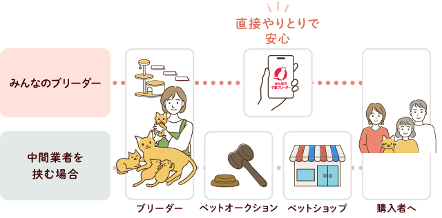 中間業者を挟む場合とみんなの子猫ブリーダーの迎え方の違い