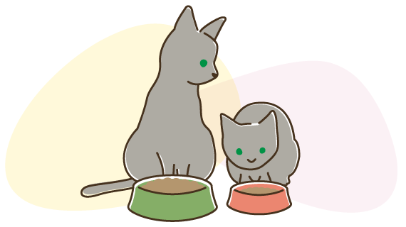 子猫の成長に大切な社会化期を親きょうだいと過ごすことで飼いやすい子に育つ