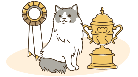 血統の確かな子猫、優れた子猫に出会える