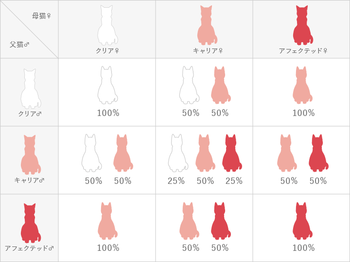 組み合わせ