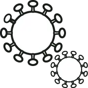 FIP（猫伝染性腹膜炎）