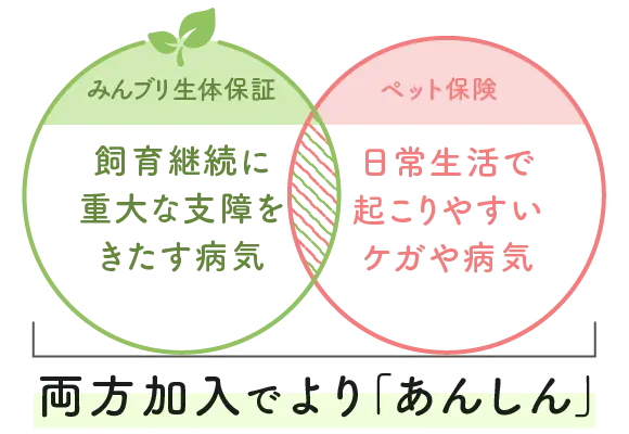 生体保証とペット保険両方加入でより「あんしん」