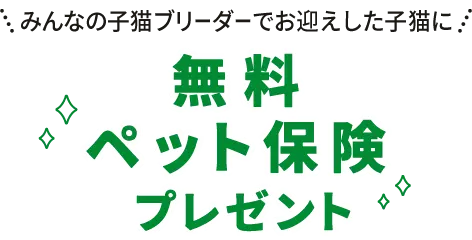 みんなの子猫ブリーダーでお迎えした子猫に無料ペット保険プレゼント