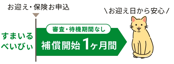 お迎え日から安心