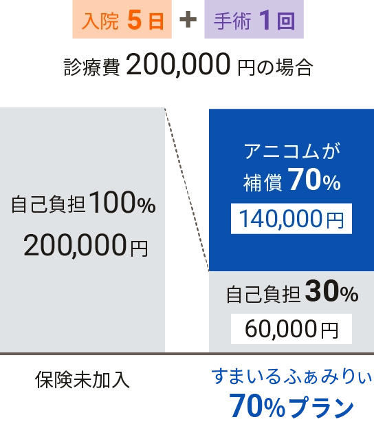 入院５日＋手術１回、診療費200,000円の場合、すまいるふぁみりぃ70％プランなら自己負担割合30％、自己負担金額60,000円