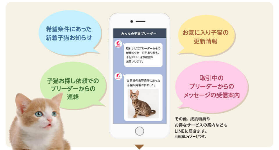 希望の条件にあった新着子猫お知らせ、お気に入り子猫の更新情報、取引中のブリーダーからのメッセージの着信案内などがLINEで届きます