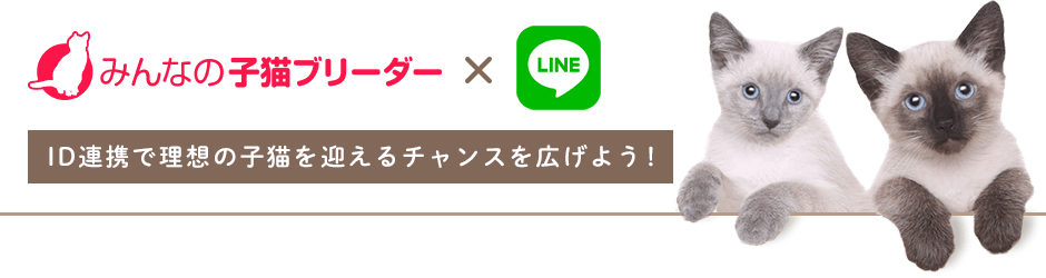 ID連携で理想の子猫を迎えるチャンスを広げよう！