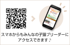 スマホサイトのご案内
