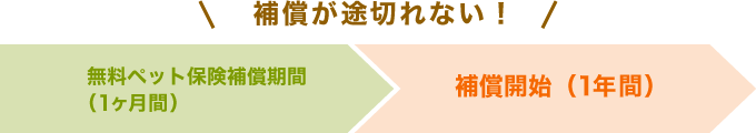 継続用ペット保険なら補償が途切れない