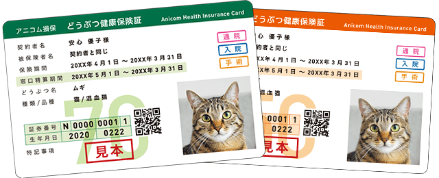 ペット健康保険証