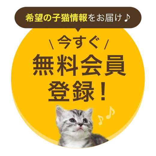 今すぐ無料会員登録