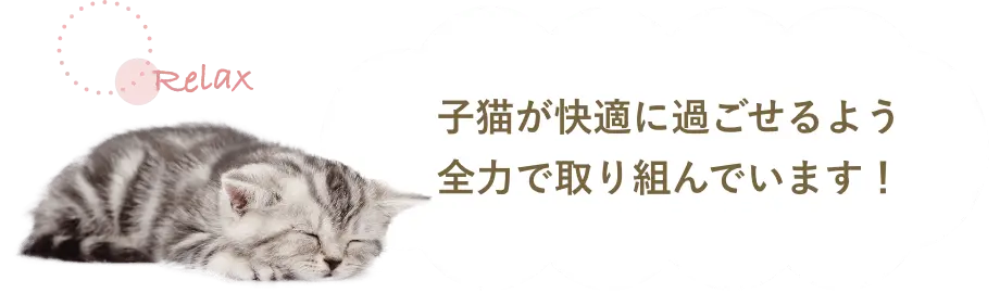 近隣引渡サービス｜みんなの子猫ブリーダー