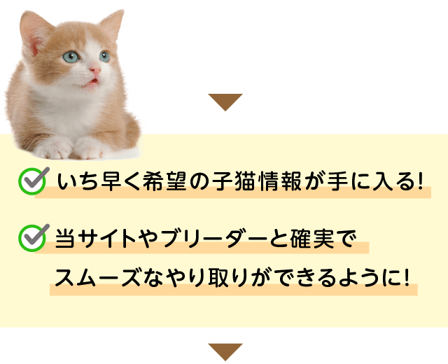 みんなの子猫ブリーダー子猫販売情報｜LINE ID連携のご案内